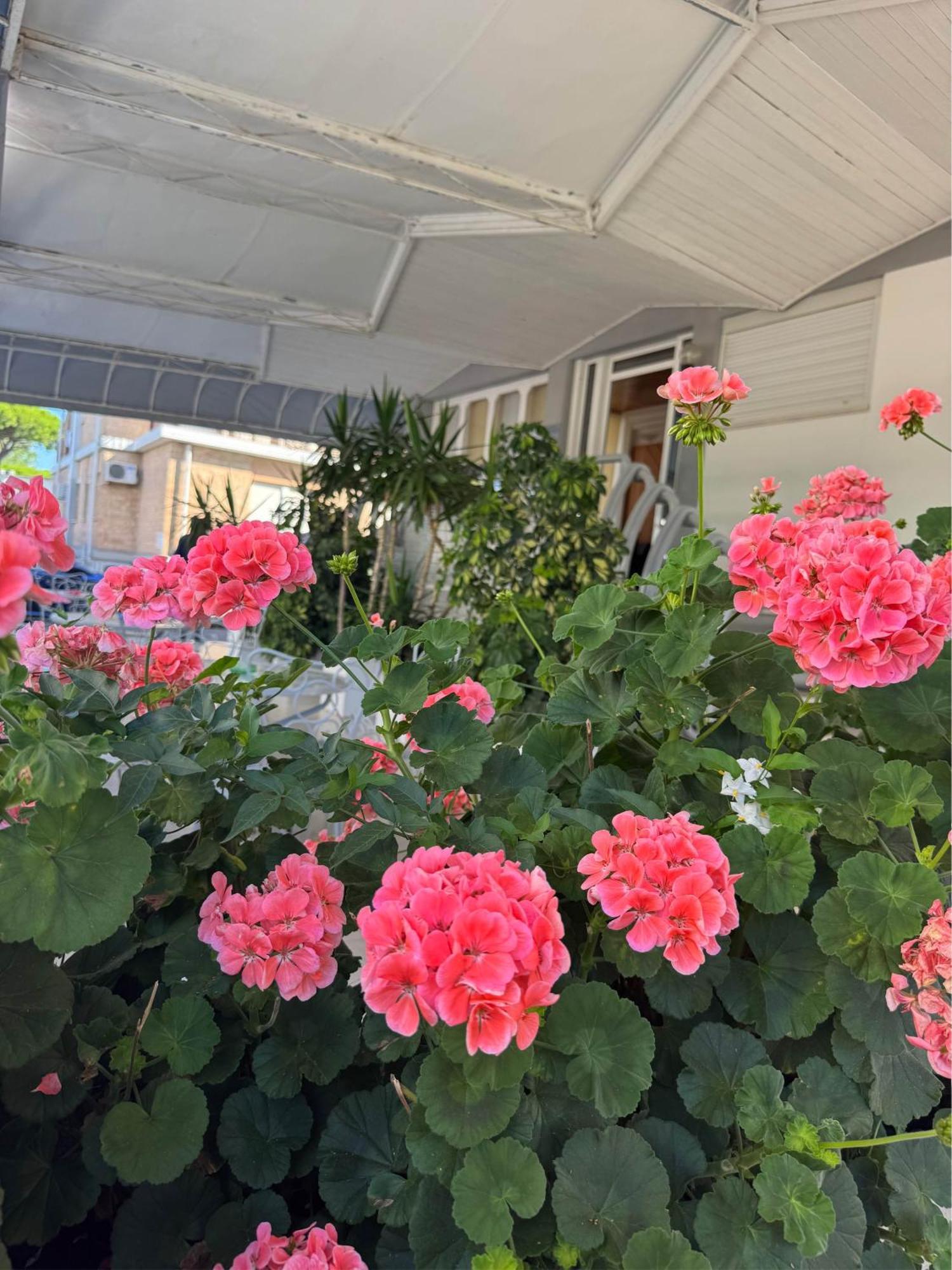 Aparthotel Moresco Lido di Jesolo